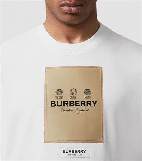 burberry oversized logo tee|burberry t shirt original price.